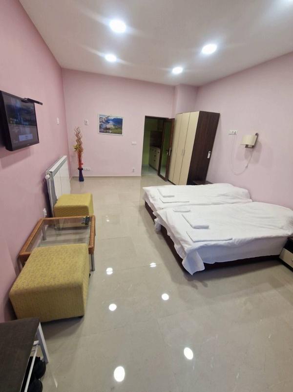 Под наем в София едностаен Зона Б-19 ID 2220605