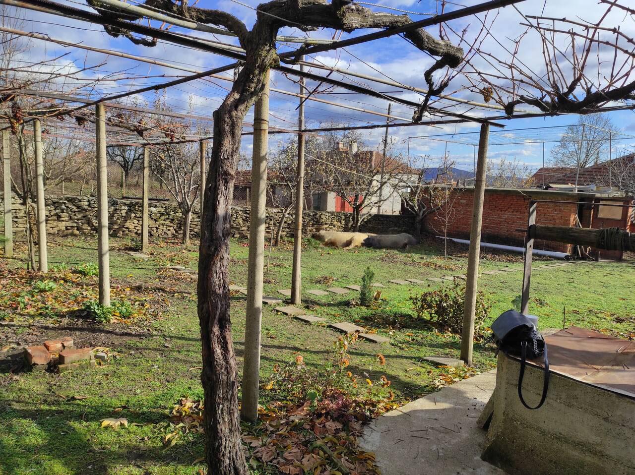 За продажба в Бургас къща о.Сунгурларе ID 2096554