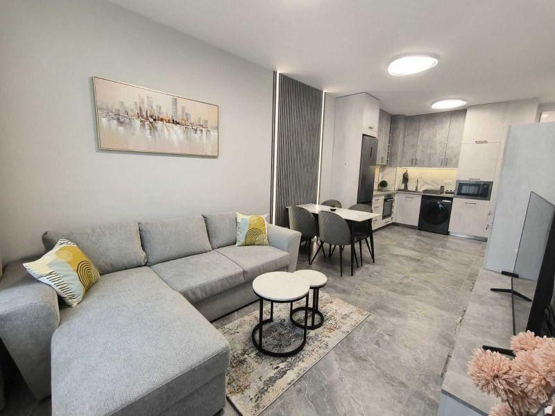 One-bedroom apartment, for rent, Druzhba 2 residential district